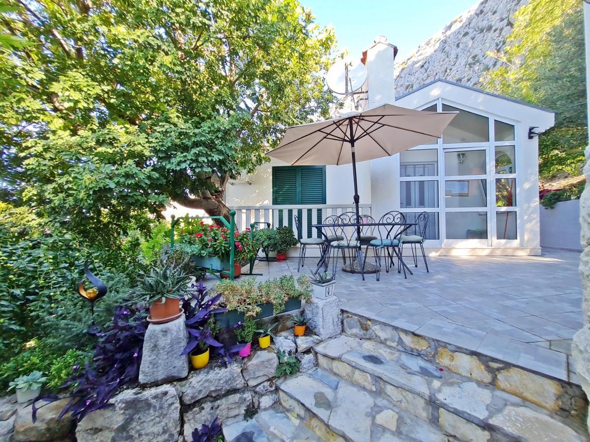 Ivana Borak Apartment