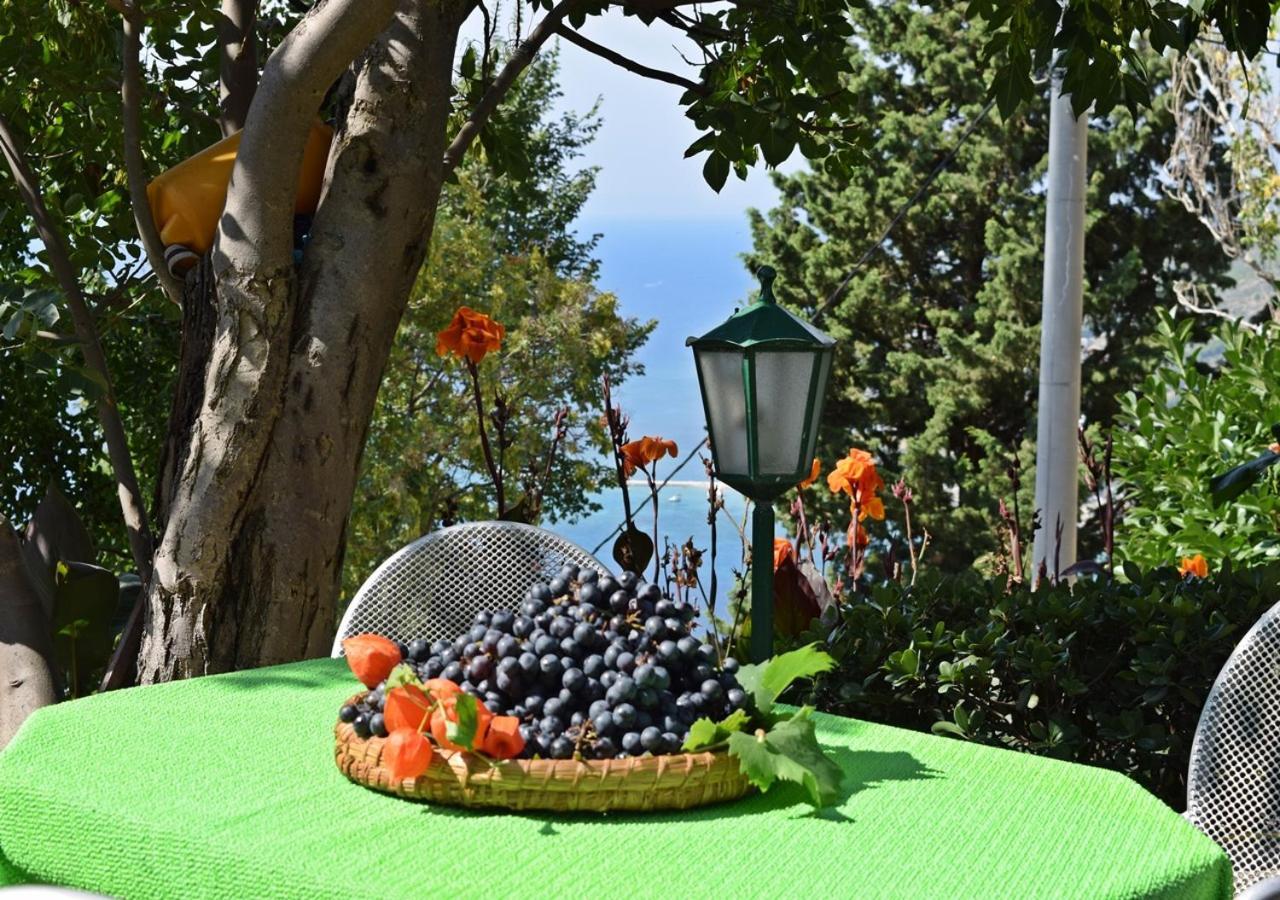 Ivana Borak Apartment Omis
